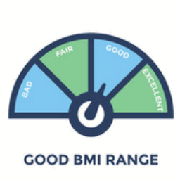 body记录器体重记录平台