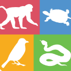 昆虫识别图鉴扫一扫