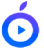 点盾云播放器倍速