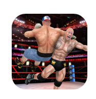 健美运动员拳击