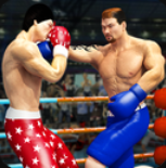 拳击明星赛