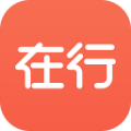 在行