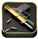 爱枪支专业版正式版 vv5.26.12