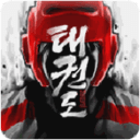 跆拳道格斗比赛