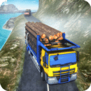 HeavyTruckDriverCargo