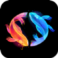 双鱼看v1.0.4
