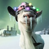 山羊城市大解谜 vv1.0.11