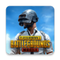 pubg绝地求生国际服版本
