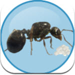 Antkeeper蚂蚁模拟官网版
