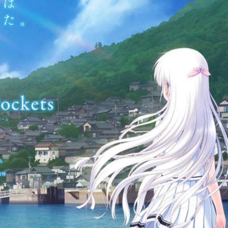 夏日口袋免费版