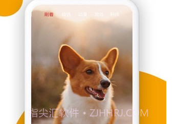 小狗看看v1.0.0.7截图