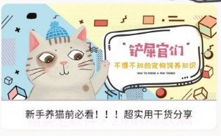 橙猫v1.0.14截图