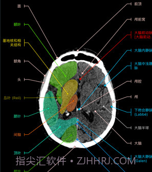 e-anatomyv7.1.10截图