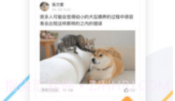 K9犬网(k9犬网自由交易)V1.4 安卓最新版V1.8截图