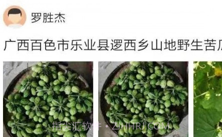 助农通v1.0.13截图