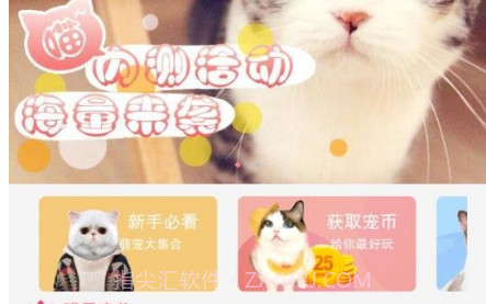 猫咪汇v1.0.11截图