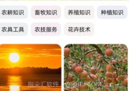 轻游互联v1.1.11截图