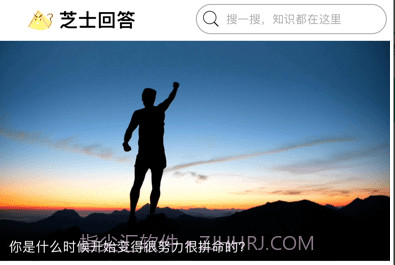 芝士问答v1.0.11截图
