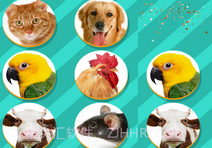 Pet Translatorv1.10截图