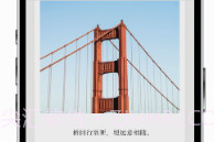 诗片V1.0.5截图