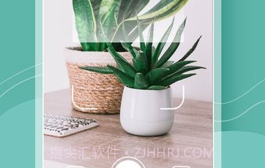 花草录v1.0.6截图