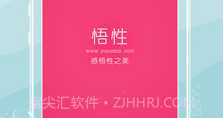 悟性v5.15截图