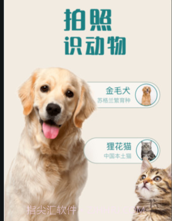 花卉识别v1.0.12截图