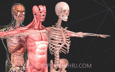 AR人体v1.3.9截图