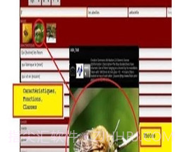 ABA自闭症教育v1.11截图