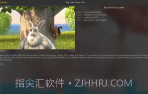 nPlayerV1.5.5.5截图