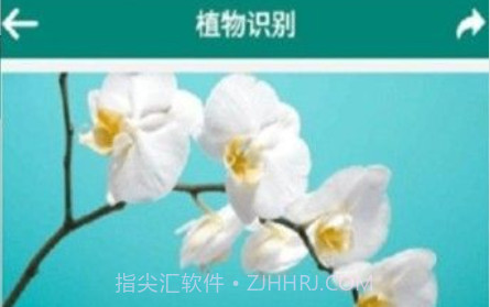 银河植物识别扫描v8.0.12截图