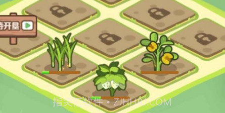 糖果爆爆爆v1.39.14截图