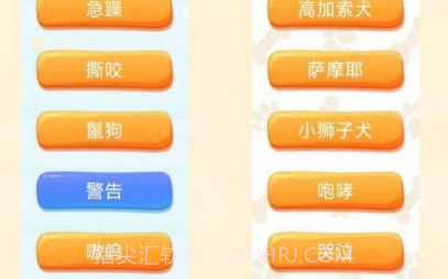 云宇猫狗翻译v1.6.9截图