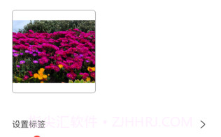 表情包助理v1.10截图