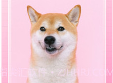 壁纸大全免费v1.0.14截图