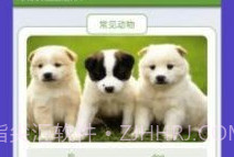 动物园首富v1.9截图