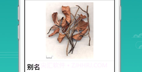 植物百科v1.9截图