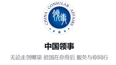 中国领事换护照v2.1.13截图