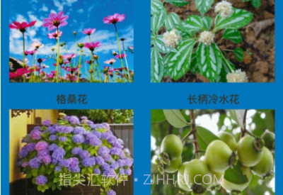 神农花草园艺v1.0.7截图