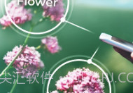 PlantSnapV3.00.6截图