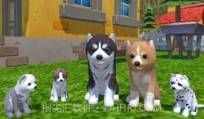 美国ZOOMDOGv1.0.0.8截图
