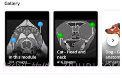 vet Anatomyv3.1.0v3.0.6截图