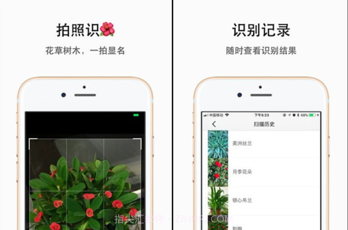 plantyx植物识别v1.0.13截图