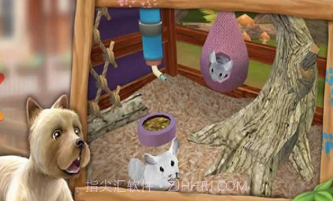 我的动物寄养所v1.7截图