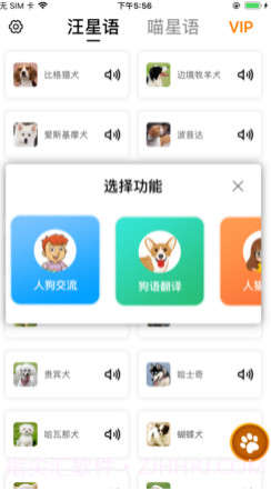 汪星人喵星人交流v1.12截图