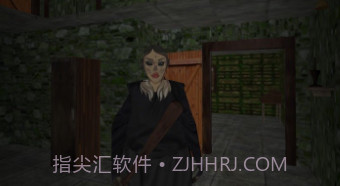 祖传房子的可怕奶奶v1.11截图