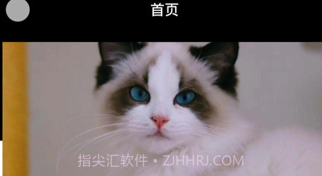 悦宠宠物美容服务v1.9截图