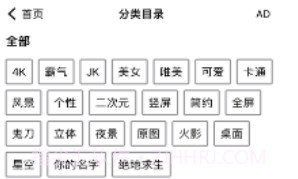 右右壁纸屋v1.9截图