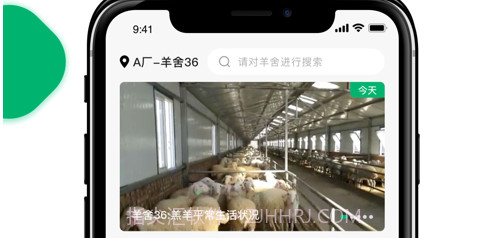 智慧羊场v1.13截图