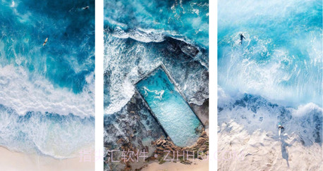 小海豹壁纸v1.11截图